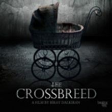 Breaking Glass Unleashes THE CROSSBREED on North American Audiences This March