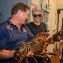 Long Island Supermarket Gets Surprise Appearance from Bon Jovi