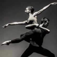 Yorke Dance Project Celebrates 20th Anniversary at Theatre Royal Winchester