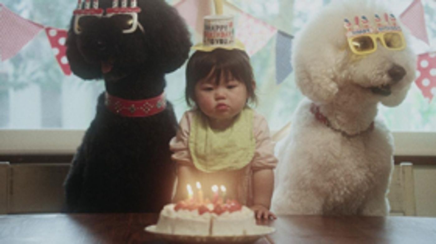 Beck's Premieres 'Fix Me' Video from New Album 'Colors'  Image