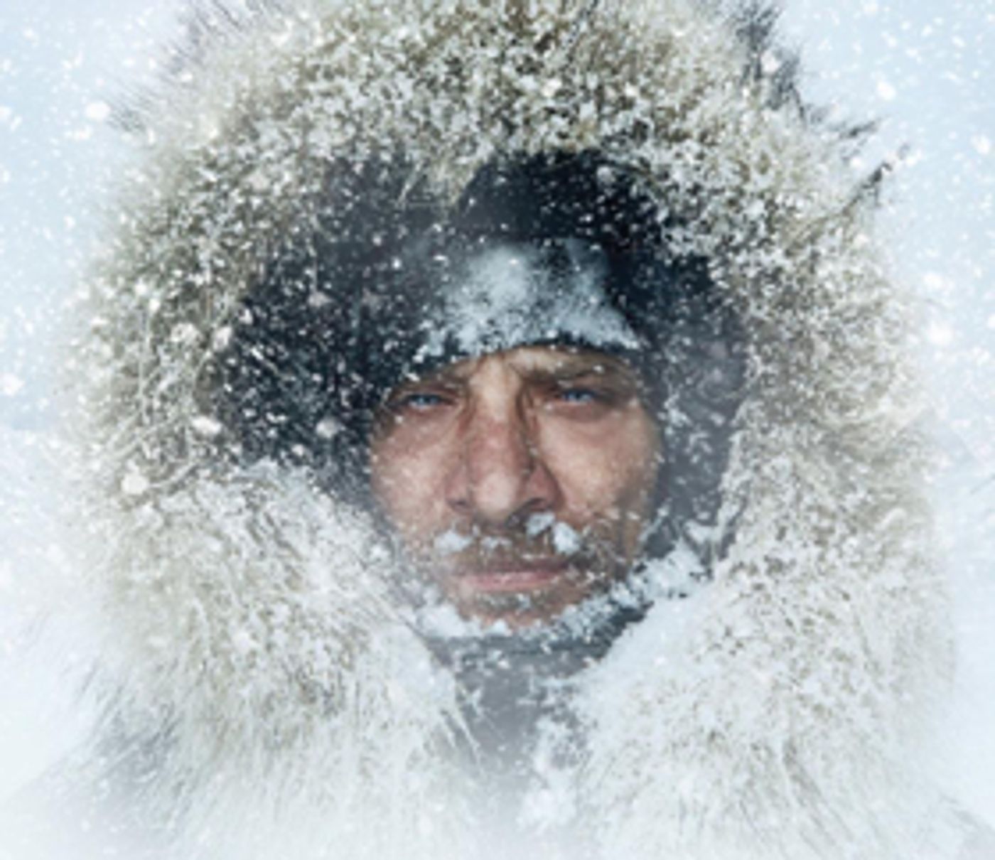 Cloud Cult Releasing 'The Great Alone' Film Score 1/18  Image