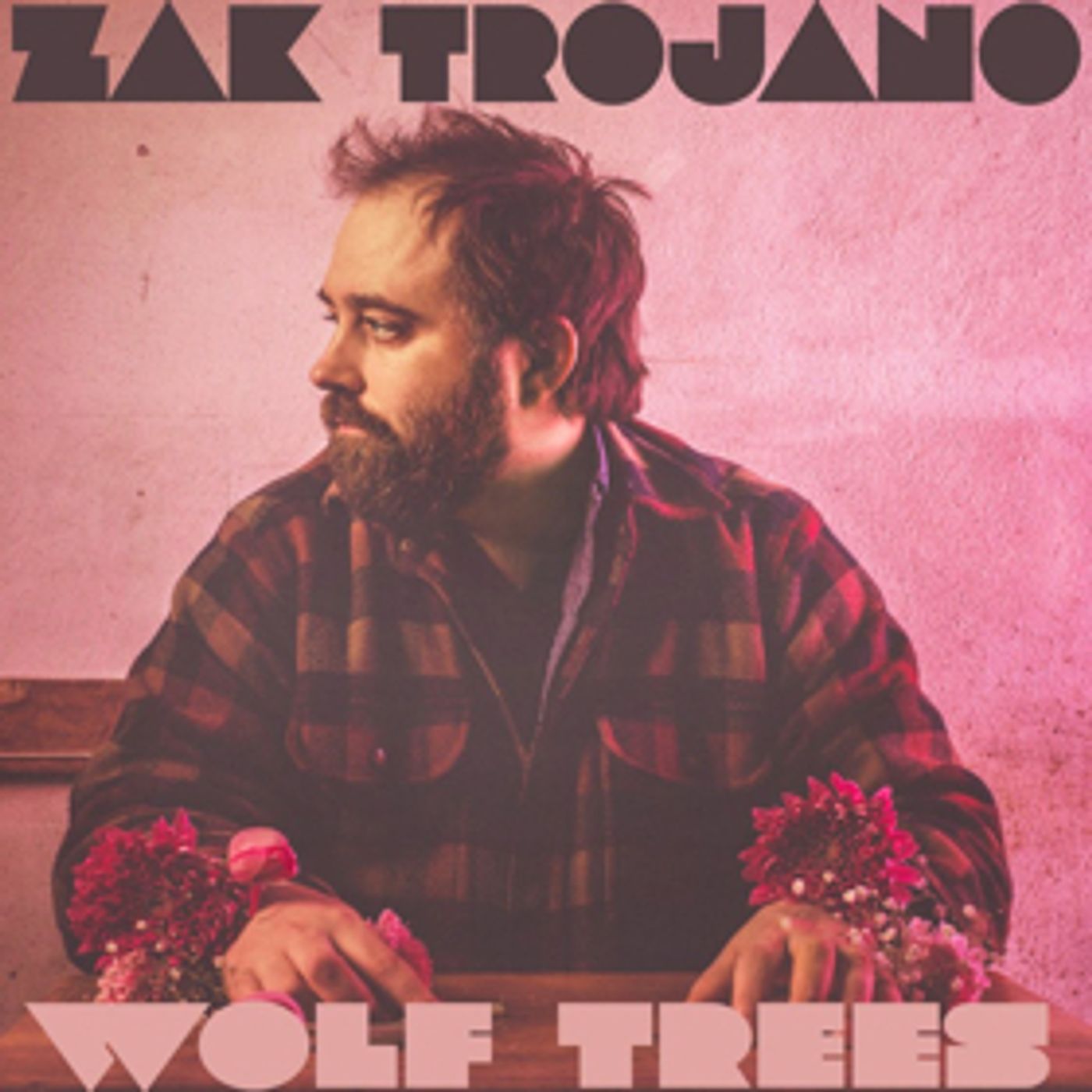Fingerstyle Singer-Songwriter Zak Trojano Debuts WOLF TREES + Announces Tour Dates  Image
