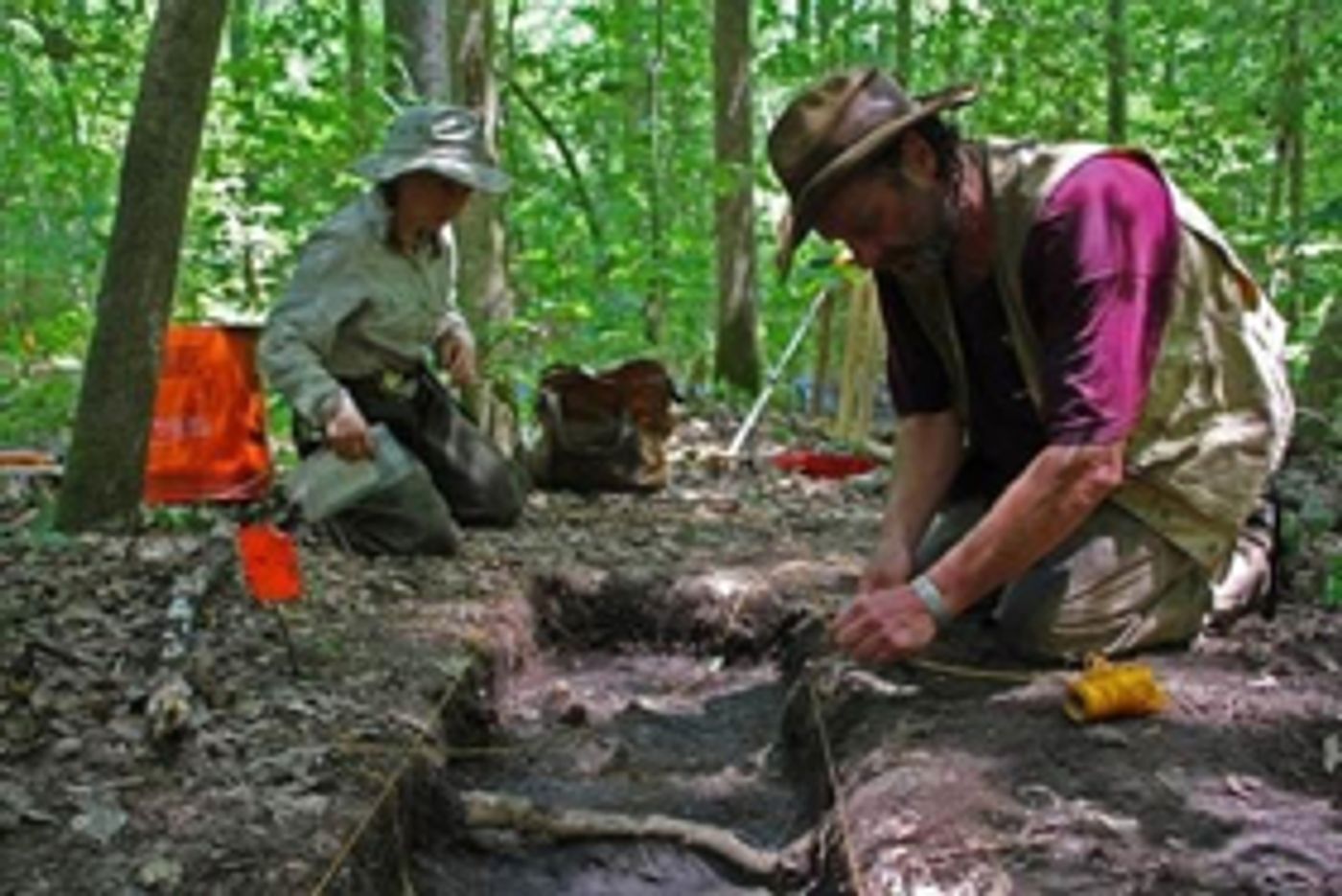 Smithsonian Channel Premieres ESCAPE TO THE GREAT DISMAL SWAMP, 2/19  Image