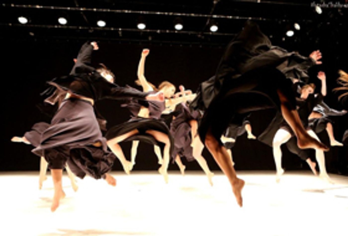 Various Dance Schools From Around the Country Perform in a Night Filled With VERTIGO Dance  Image