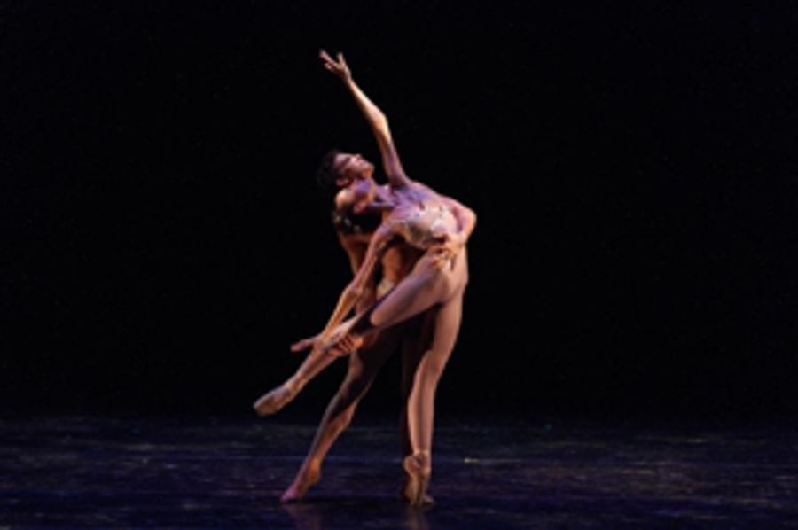 The Gerald Arpino Foundation Announces Dimensions Dance Theatre of Miami's Performances of LIGHT RAIN Image