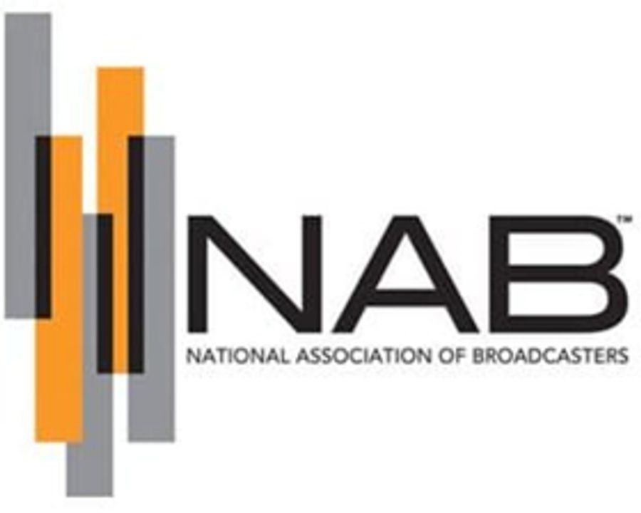 Kristen Bell to Receive 2018 NAB Television Chairman's Award Image