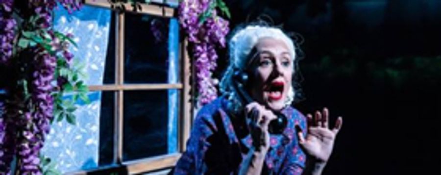 Bryony Kimmings Brings Critically Acclaimed Show 'I'm A Phoenix, Bitch' To The Fringe Image