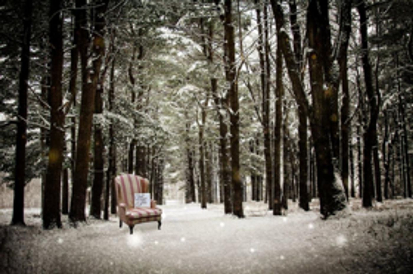 WINTER TALES Comes to Vermont Stage WINTER TALES Comes to Vermont Stage Image