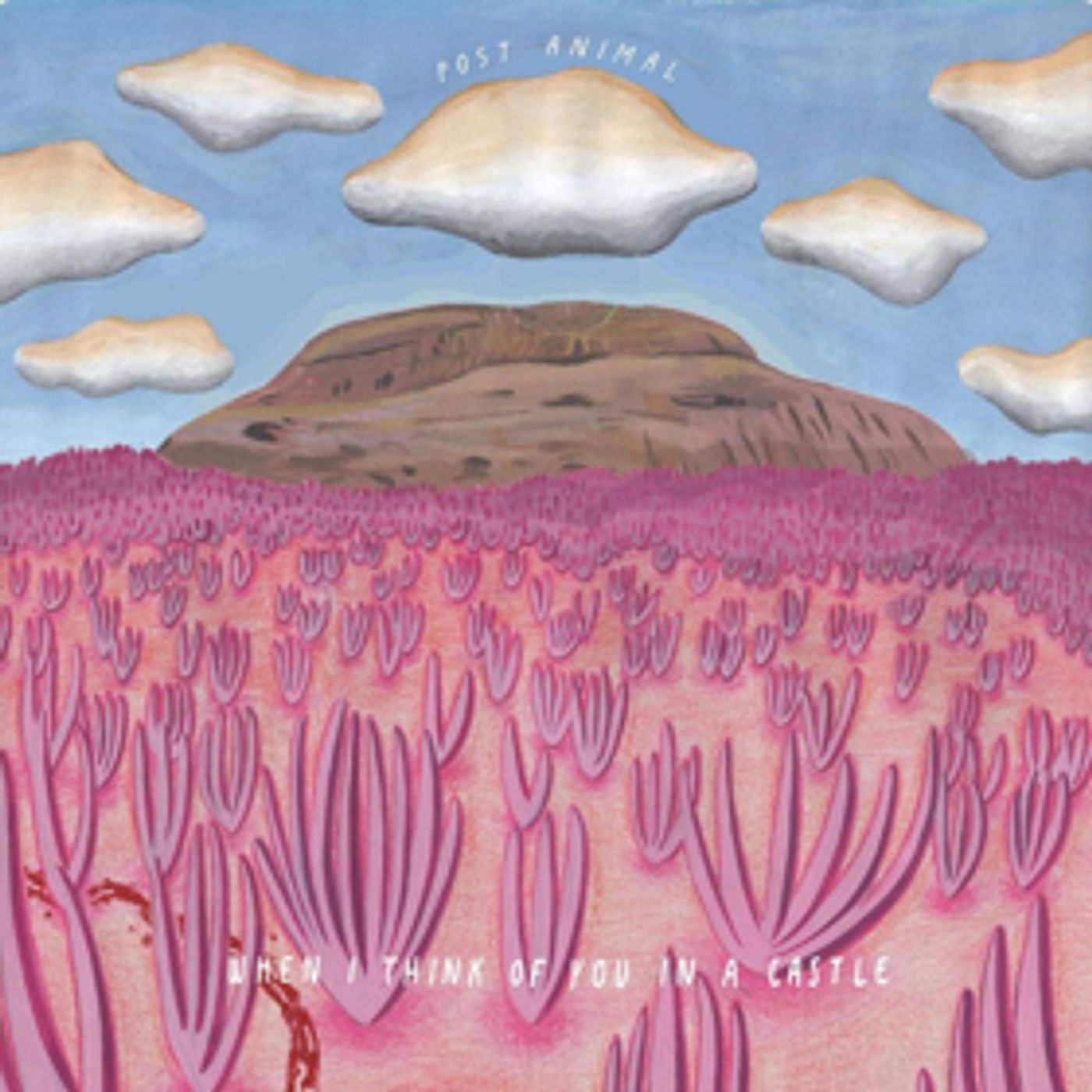 Chicago Based Neo-Psych Rock Band POST ANIMAL Share New Single RALPHIE From Upcoming Album Chicago Based Neo-Psych Rock Band POST ANIMAL Share New Single RALPHIE From Upcoming Album Image