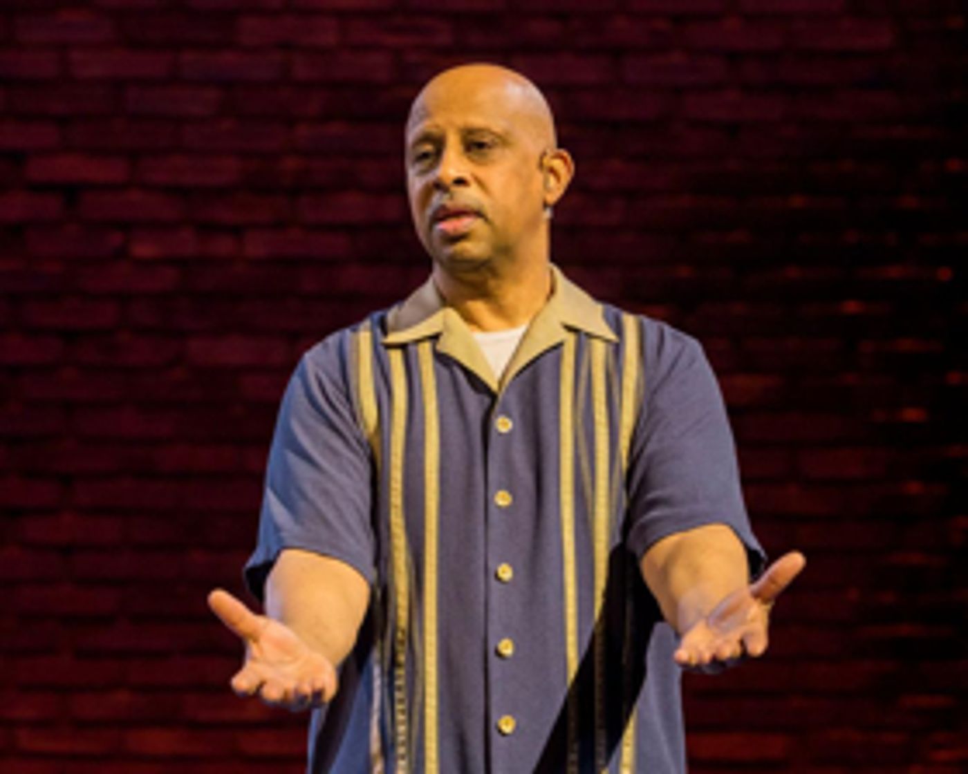 Review: In LACKAWANNA BLUES, Ruben Santiago-Hudson Pays Tribute to the Incredible Woman Who Lovingly Raised Him  Image