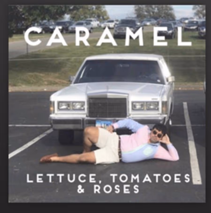 MAN WRITES LOVE SONG ABOUT SANDWICHES Image