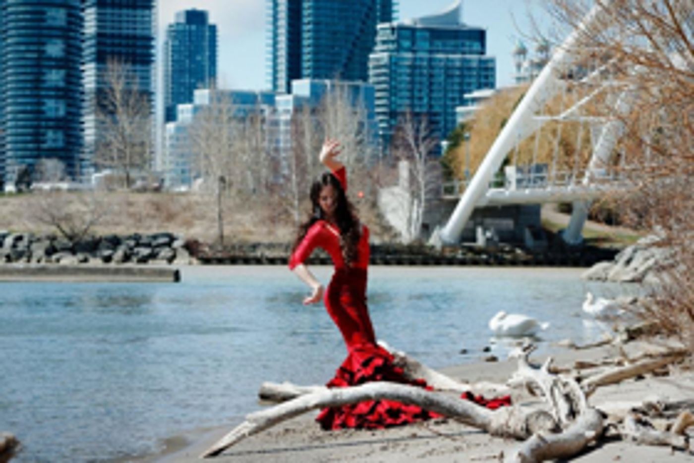 Vancouver International Flamenco Festival Announces 2018 Lineup  Image