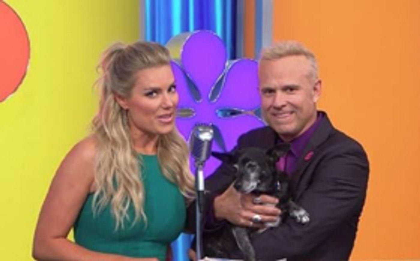 Pet Adoption Week on THE PRICE IS RIGHT Is Almost Here!  Image