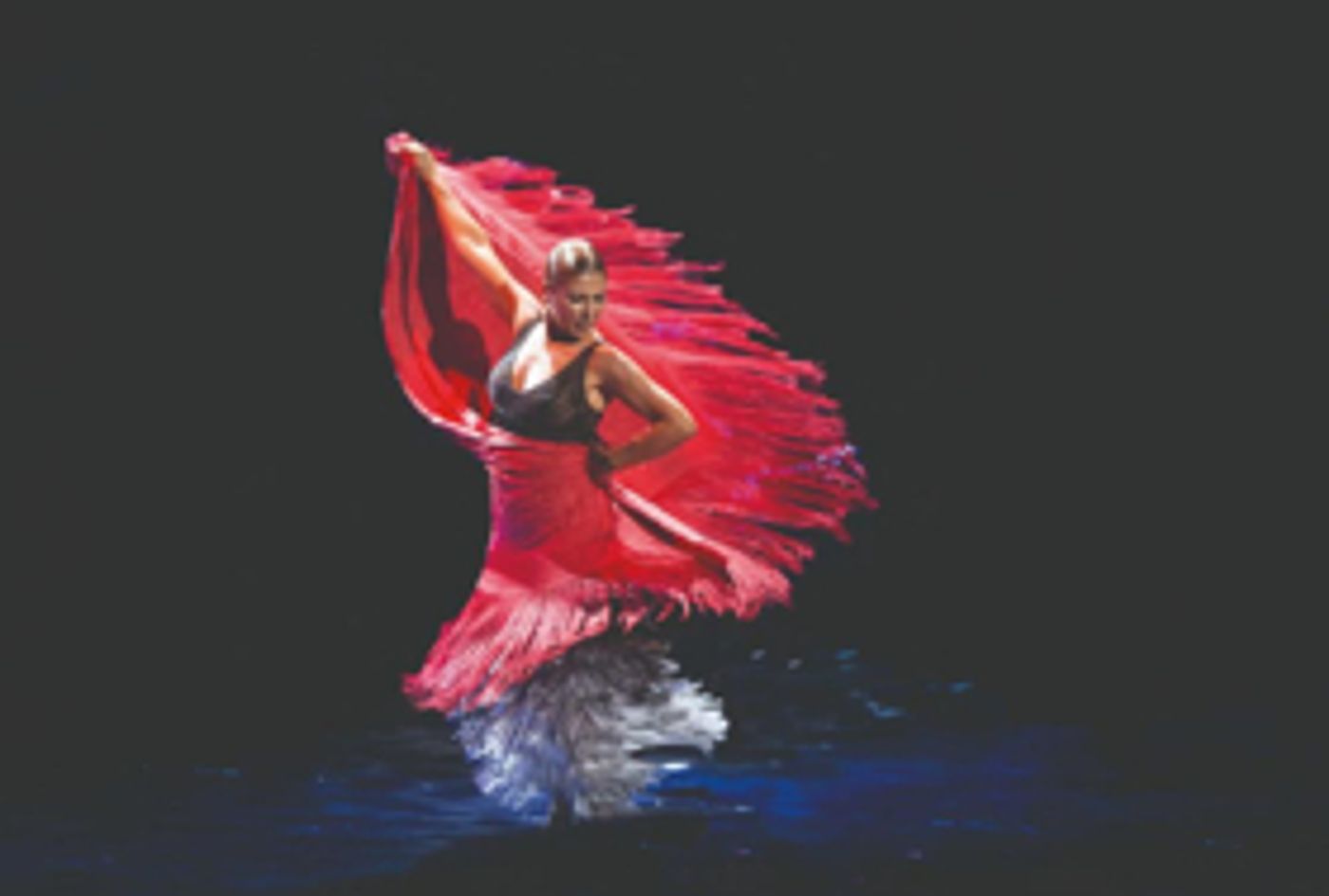 Review: Flamenco Icon Sara Baras Brings SHADOWS to NY City Center  Image