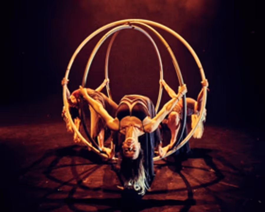 Guest Blog: Fiona Thornhill On All-female Cyr Wheel Show HYENA Image