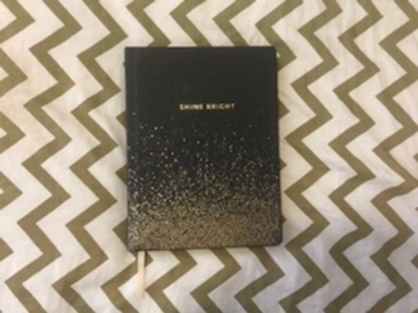 BWW Blog: Back to School - The Key to Surviving a Theatre Program  Image