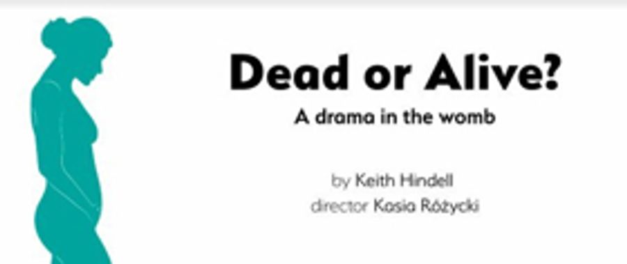 New Play By Veteran Abortion Specialist Keith Hindell Plays Theatro Technis This May Image