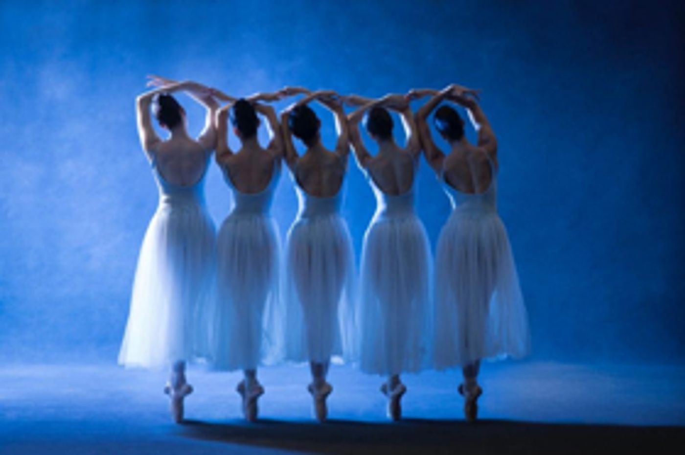 The Washington Ballet Opens 2018/19 Season With International Guest Artists & Expanded Program The Washington Ballet Opens 2018/19 Season With International Guest Artists & Expanded Program Image