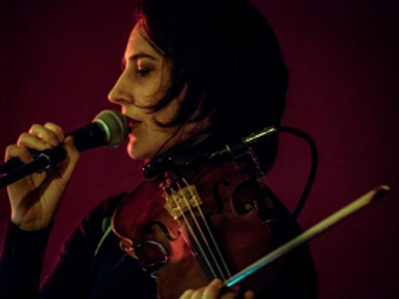 Sarah Bernstein Announces New Album CRAZY LIGHTS SHINING Out 5/25  Image