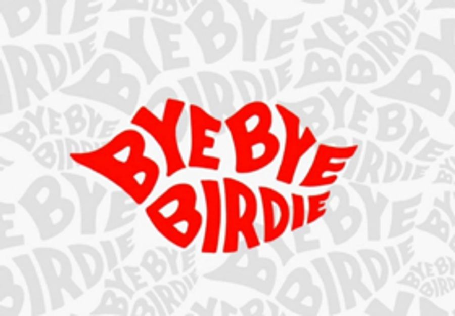 NBC Again Delays Production of BYE BYE BIRDIE LIVE Until 2019 Image