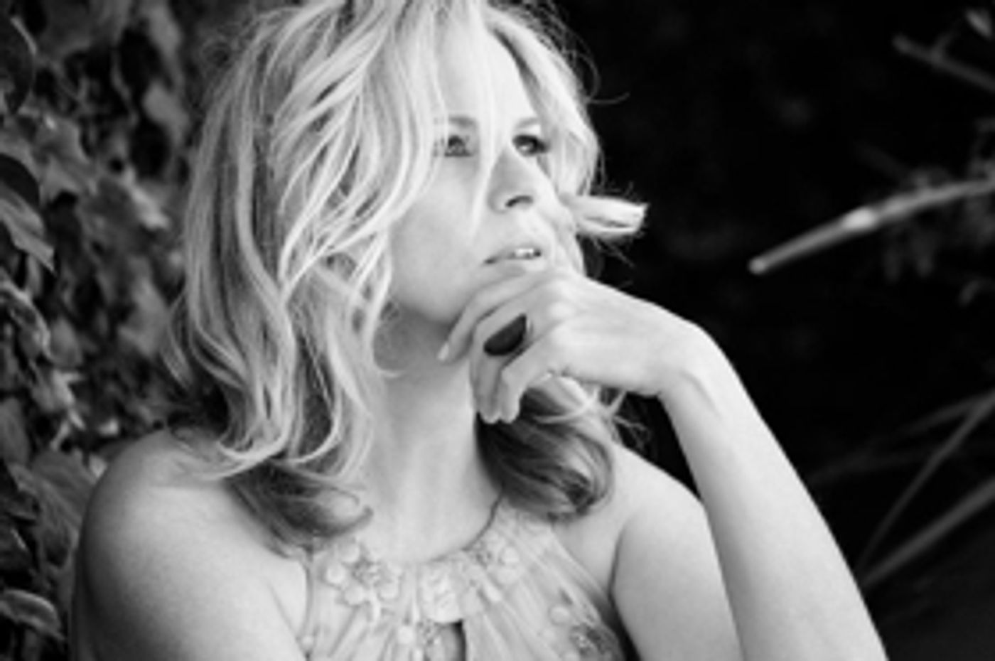 Vonda Shepard To Perform At Feinstein's At The Nikko Next Month Vonda Shepard To Perform At Feinstein's At The Nikko Next Month Image