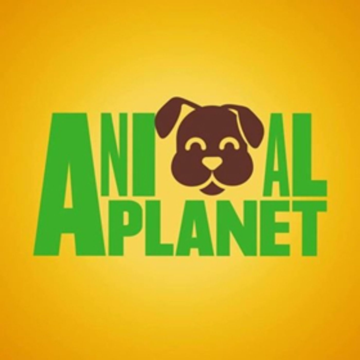 Animal Planet's Puppy Bowl Hits Highest Ratings Ever This Year  Image