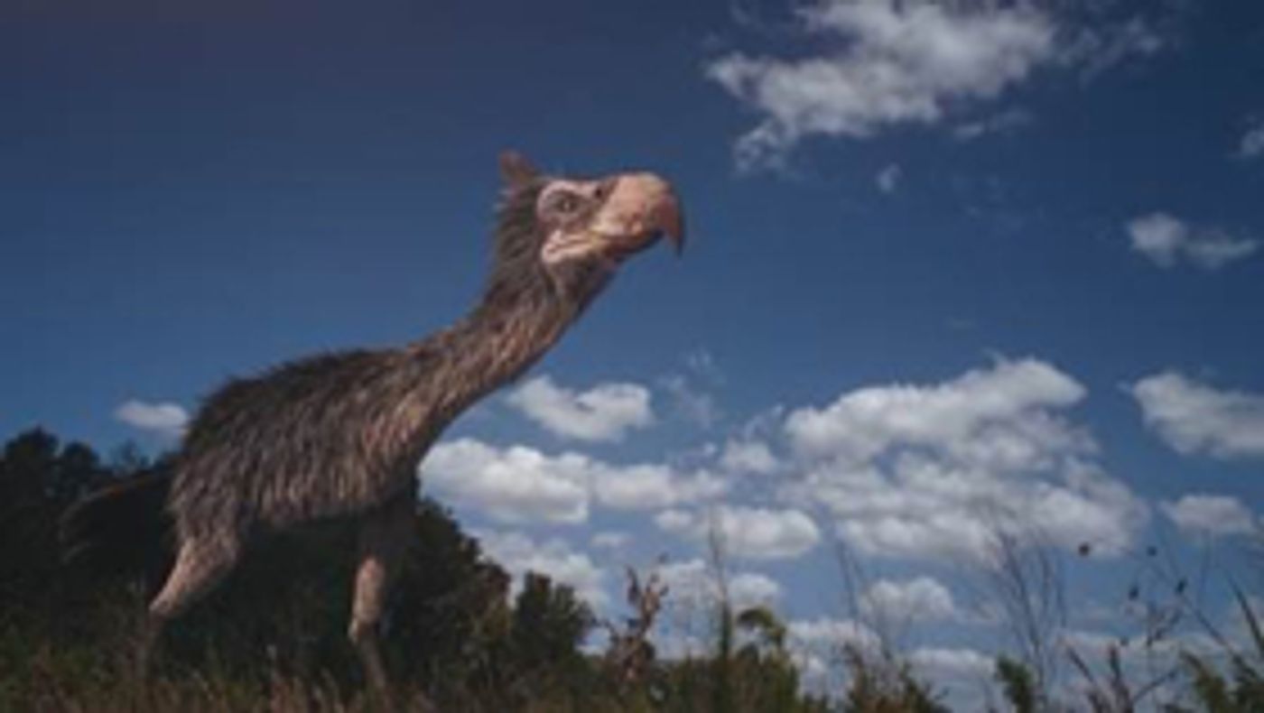 Smithsonian Channel to Premiere Two-Hour Special TOP TEN DEADLIEST BEASTS  Image