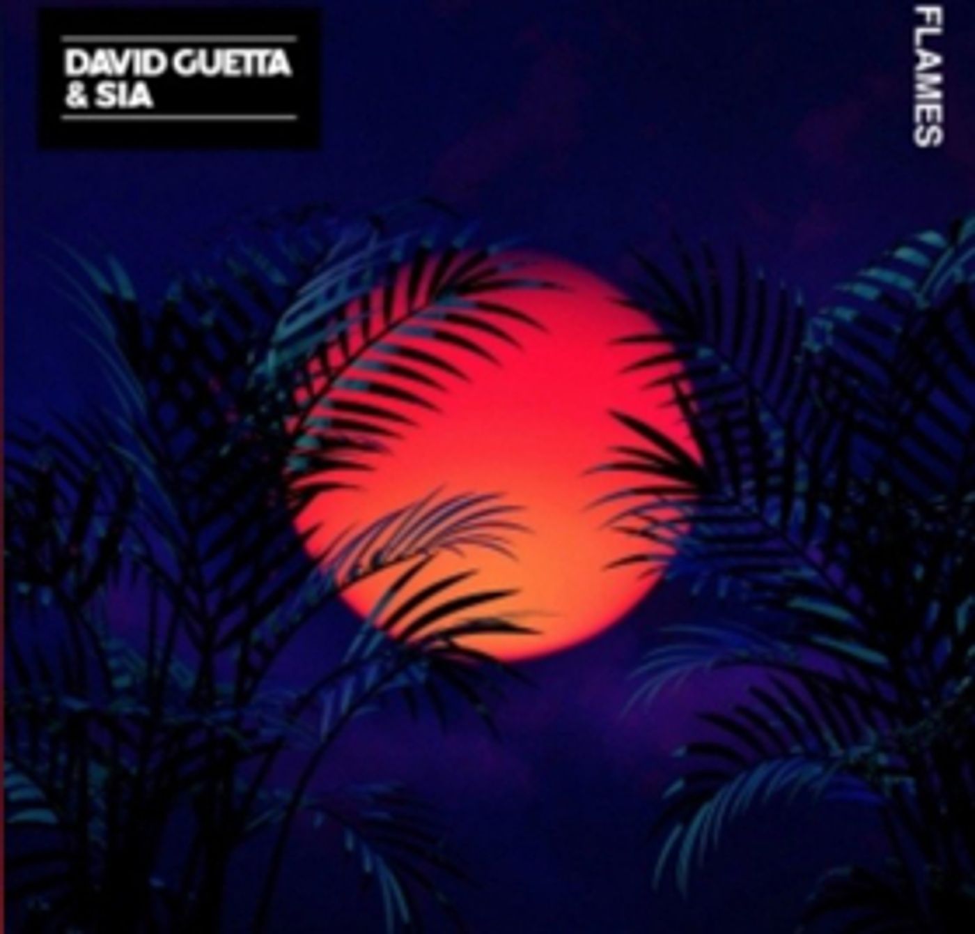David Guetta & SIA Reunite with FLAMES After Hits TITANIUM and BANG MY HEAD  Image
