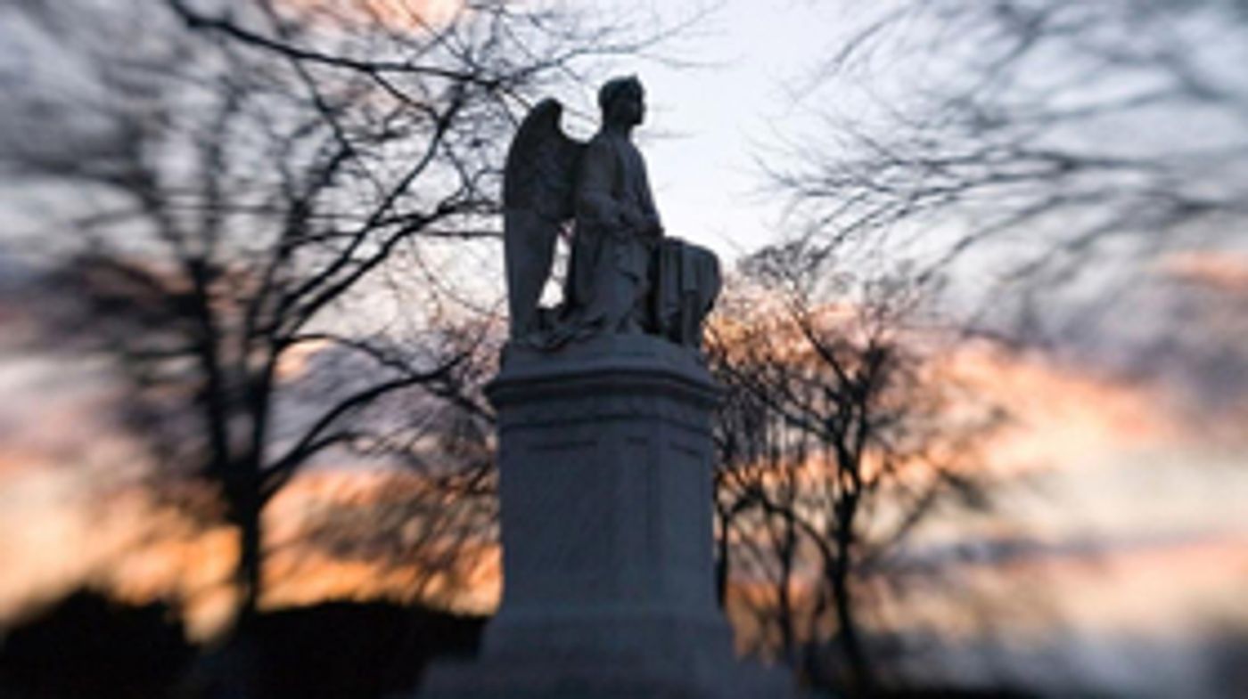 BWW Preview: More Music in the Northeast This Summer BWW Preview: More Music in the Northeast This Summer Image