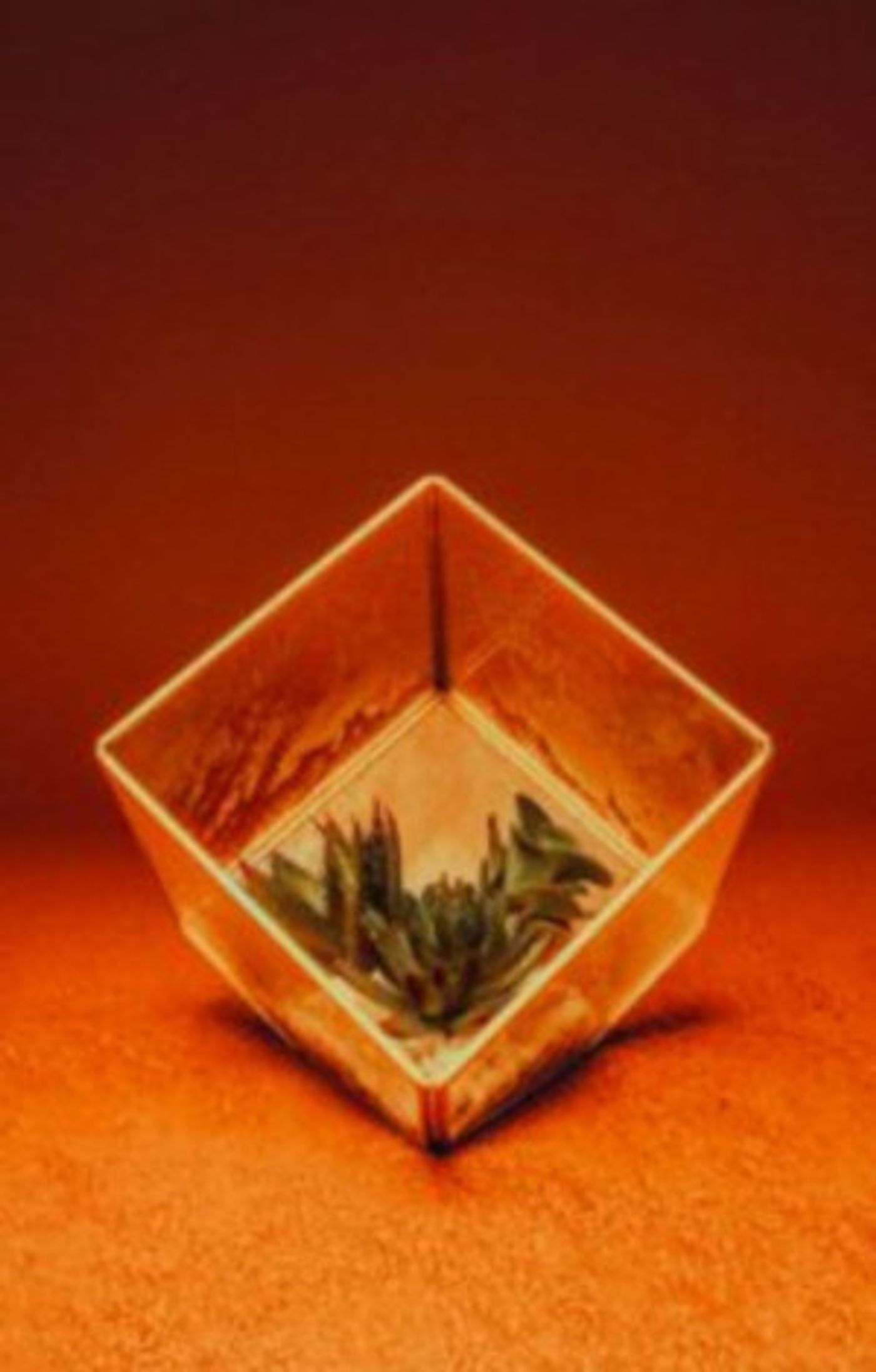 Tron Theatre Company Brings THE MISTRESS CONTRACT to the Stage  Image