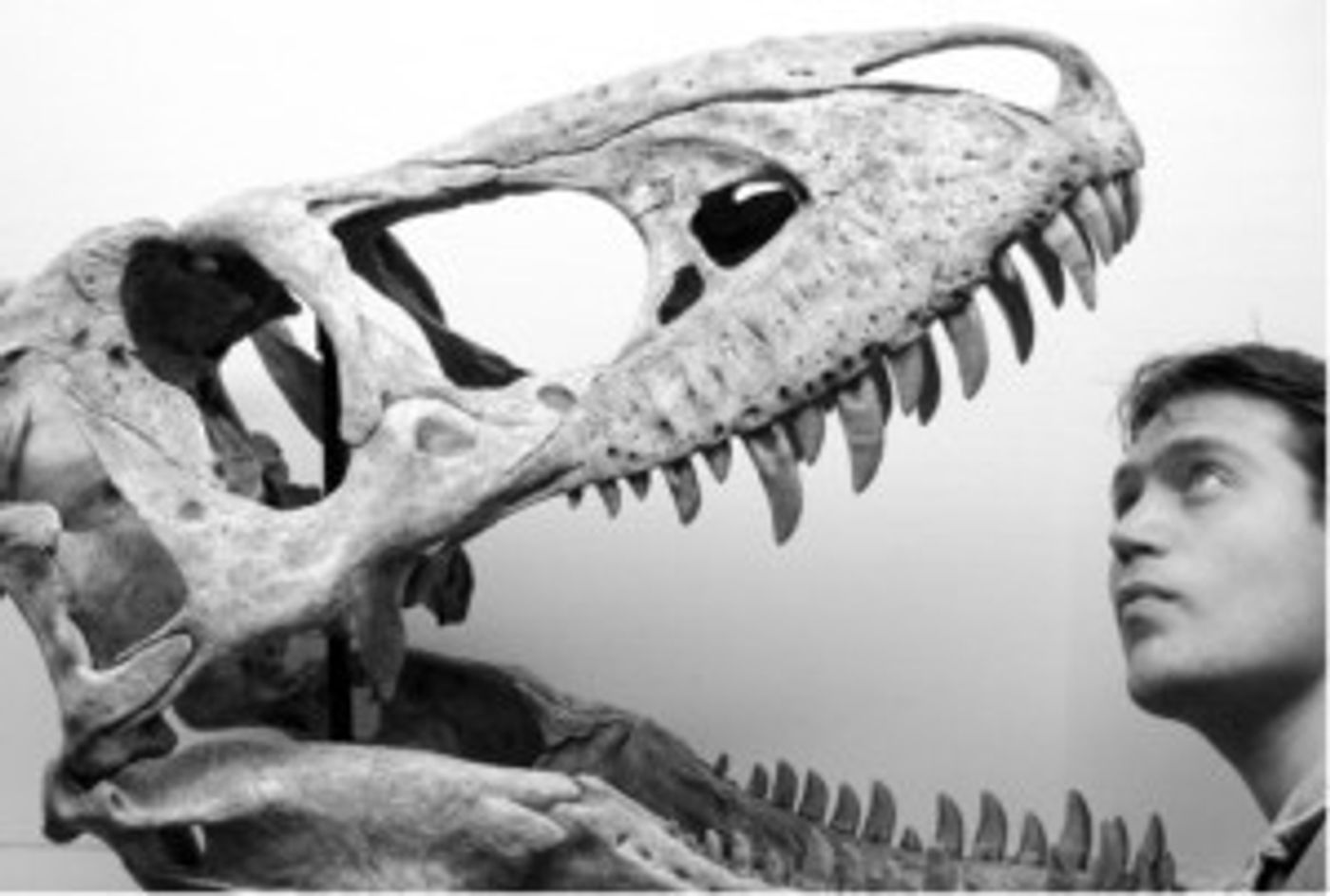 Feature: NATIONAL GEOGRAPHIC LIVE SPEAKER SERIES  at The Smith Center For The Performing Arts  Image