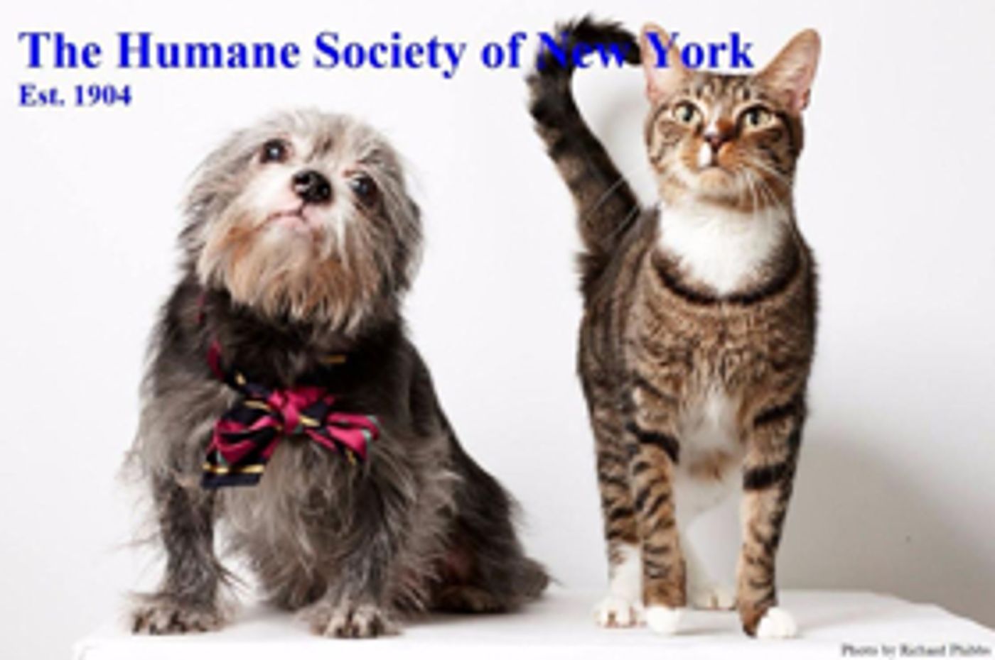 Bid for Tickets to 'CURSED CHILD' & More to Benefit Humane Society of New York  Image