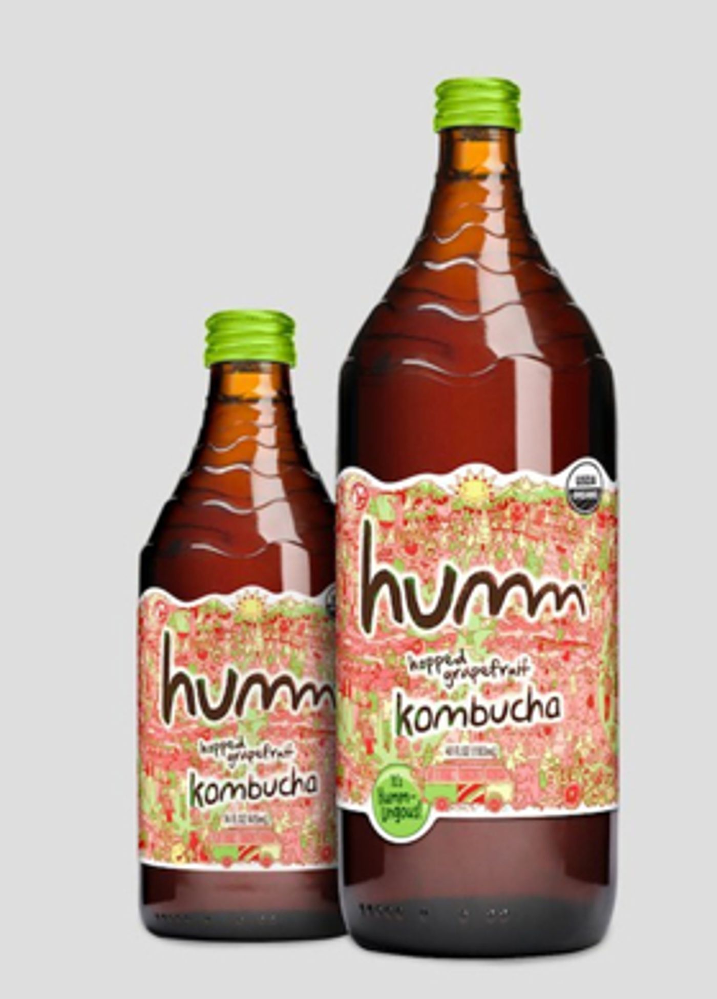 HUMM KOMBUCHA is a Delicious and Delightful Beverage that Everyone Enjoys HUMM KOMBUCHA is a Delicious and Delightful Beverage that Everyone Enjoys Image
