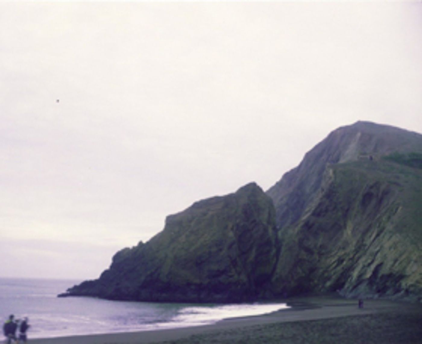 Ryan Von Gonten New LP Featuring Lomelda, Out On Gold Flake Paint's New Record Label  Image