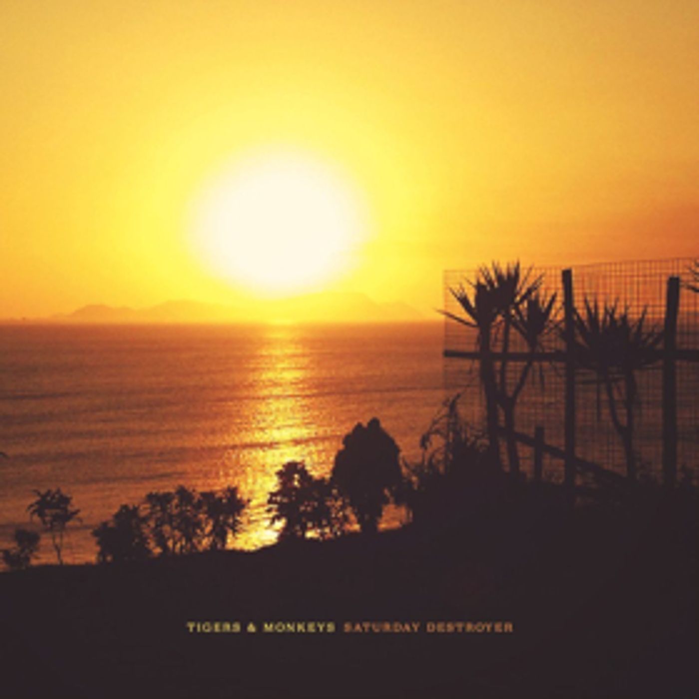 Tigers & Monkeys Release Powerful New Album, SATURDAY DESTROYER, Out Today Tigers & Monkeys Release Powerful New Album, SATURDAY DESTROYER, Out Today Image