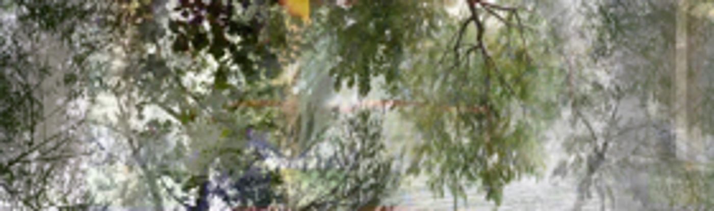 Artist Elizabeth Chiles Highlights Texas Landscape in Solo Exhibition This Summer  Image