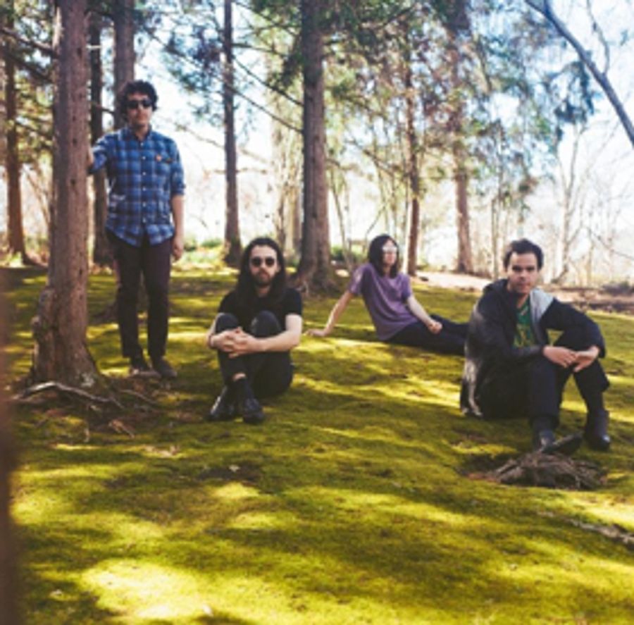 Sun Seeker Announces SXSW Showcases, Shares Townes Van Zandt Cover Image