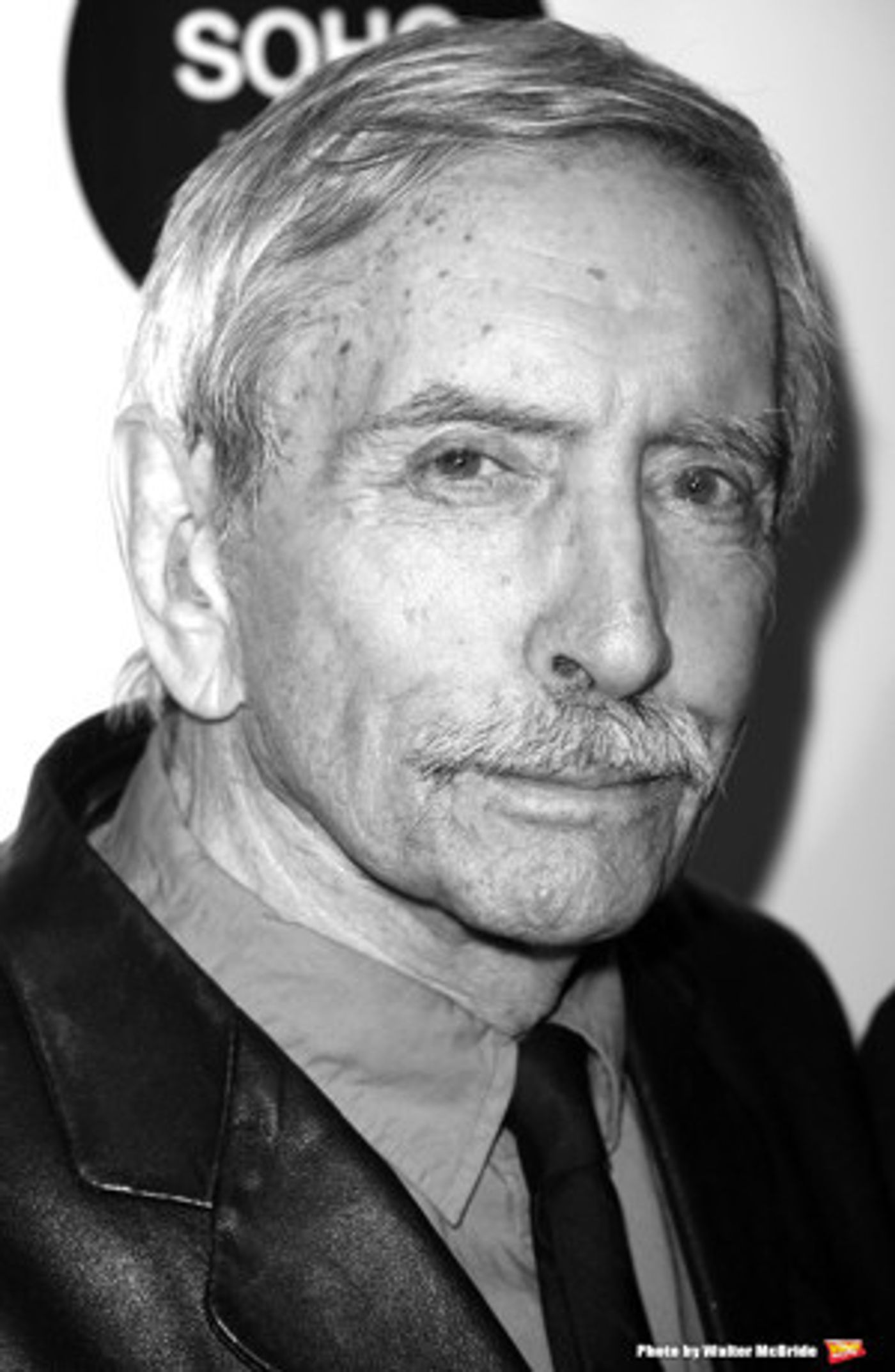 Signature Theatre to Honor Legacy Playwright Edward Albee at Annual Gala  Image