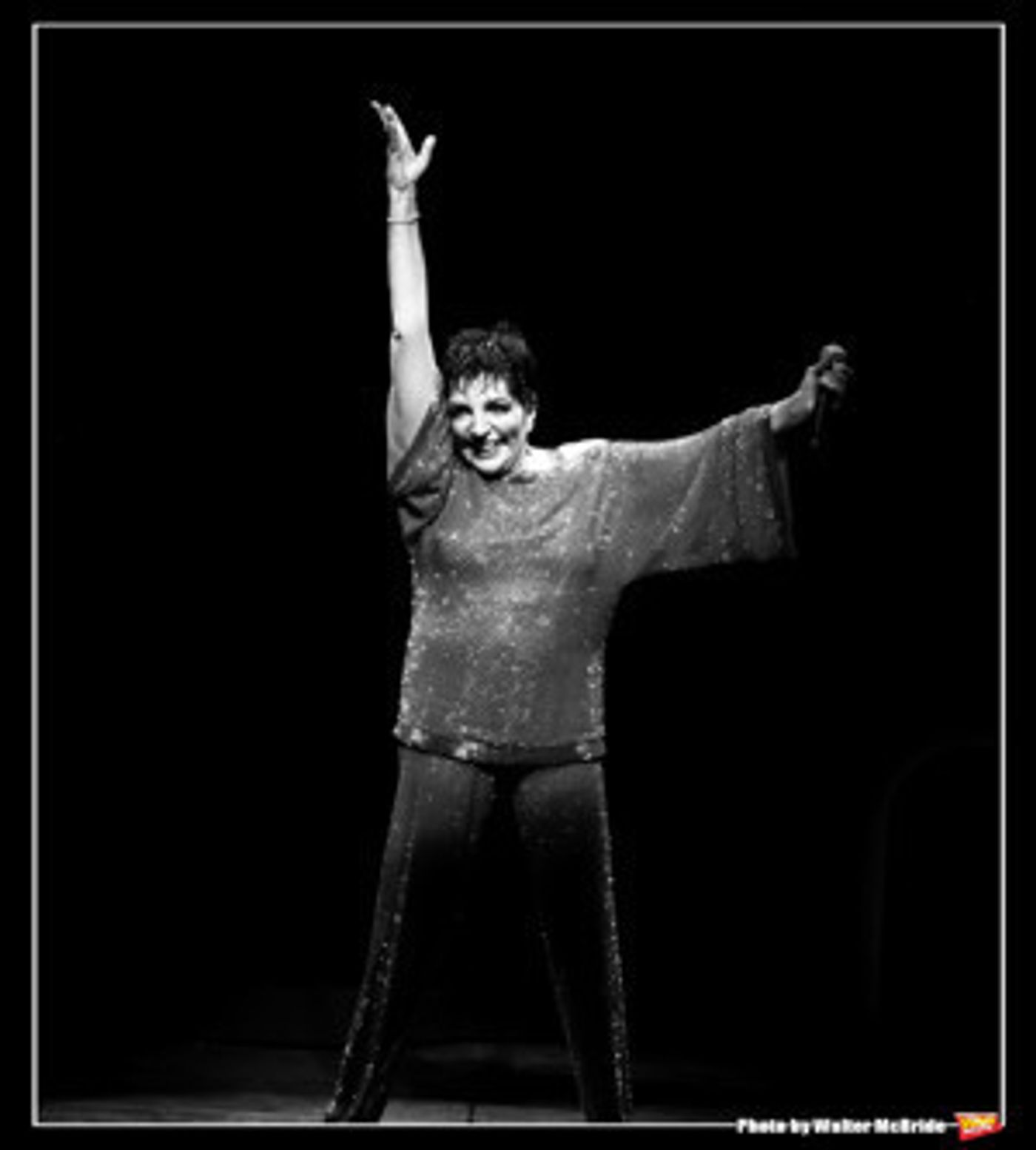 BWW Poll Results: Readers Think Liza Minnelli Should Receive a Kennedy Center Honor  Image