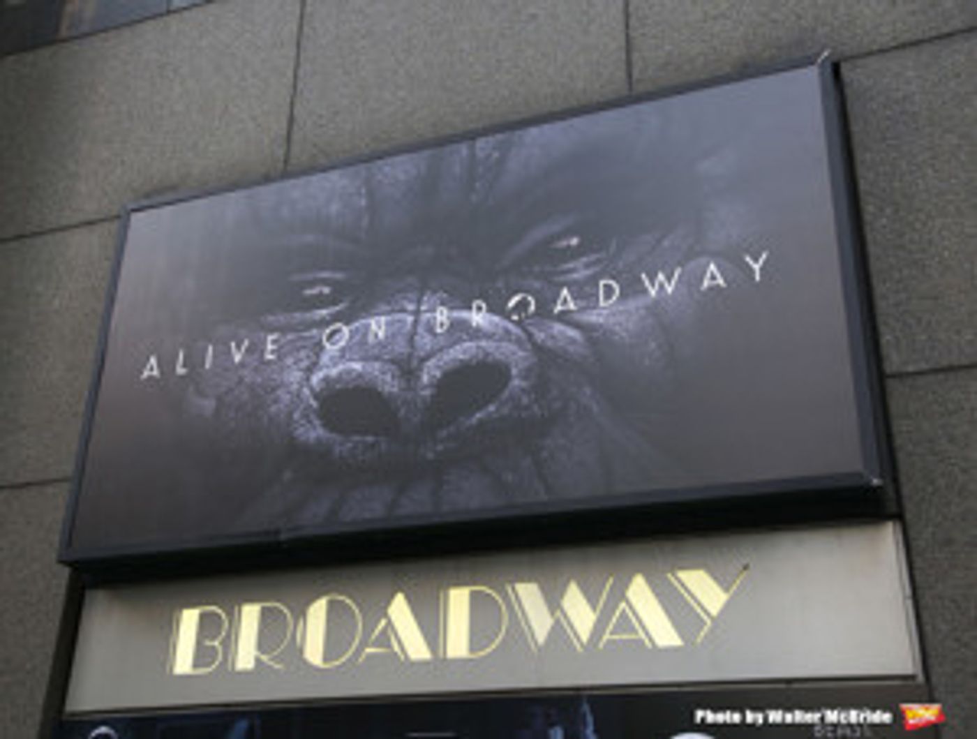 The Actors Fund to Host Screening of KING KONG Featuring Creative Team of Musical  Image