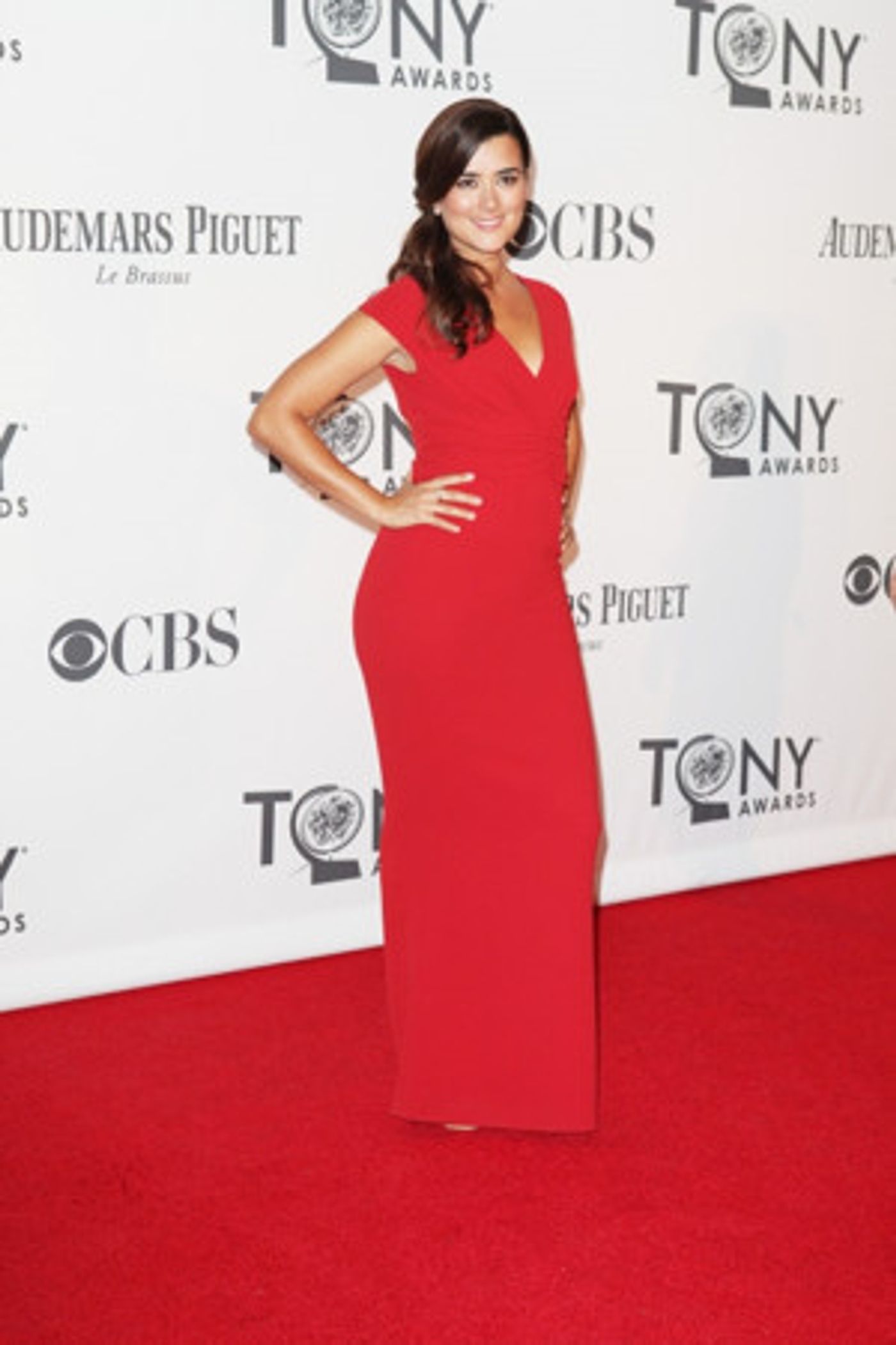 Michael Weatherly and Cote de Pablo to Produce Cop Drama at CBS  Image