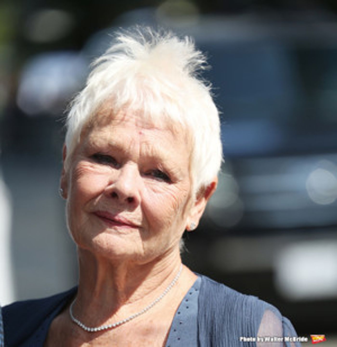 Judi Dench Signs On To Play Old Deuteronomy in Upcoming CATS Film Judi Dench Signs On To Play Old Deuteronomy in Upcoming CATS Film Image