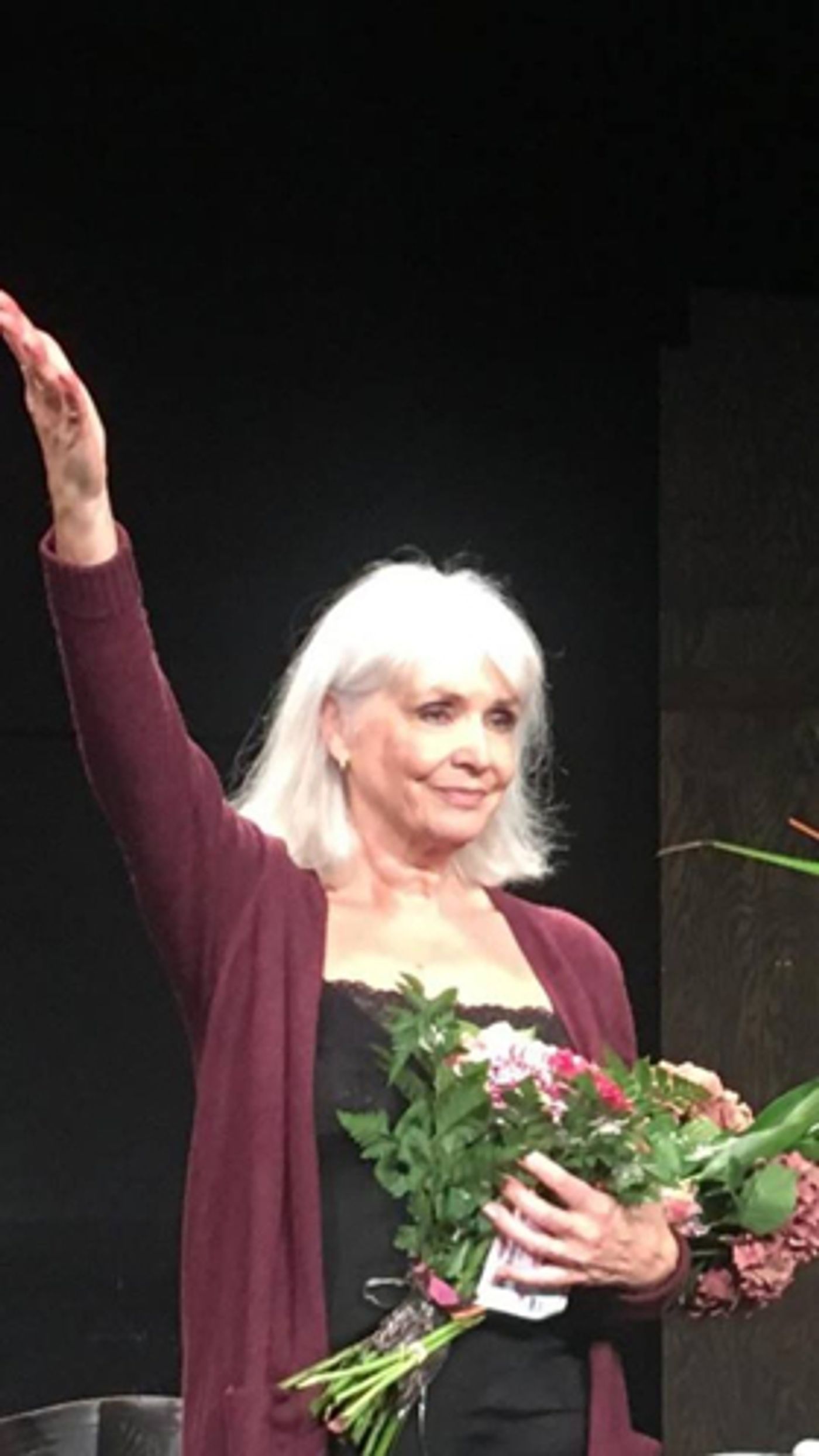 Review: APOLOGIA at Playhouse Teater Review: APOLOGIA at Playhouse Teater Image