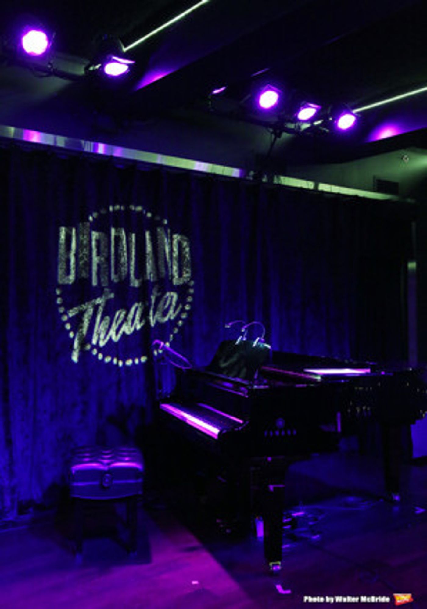 Birdland Presents Curtis Stigers, Pharoah Sanders And More Next Week  Image