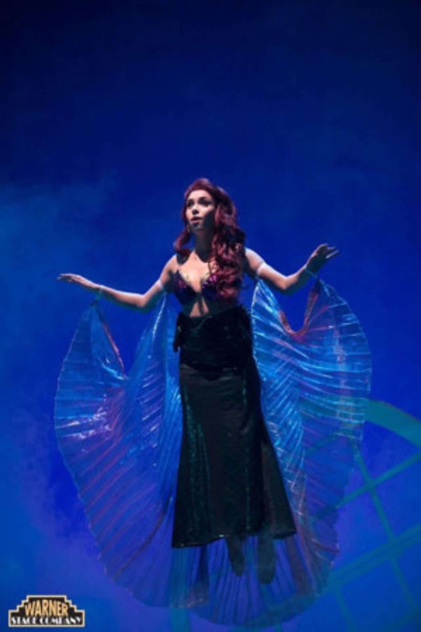 Review: THE LITTLE MERMAID at the Warner Theater  Image
