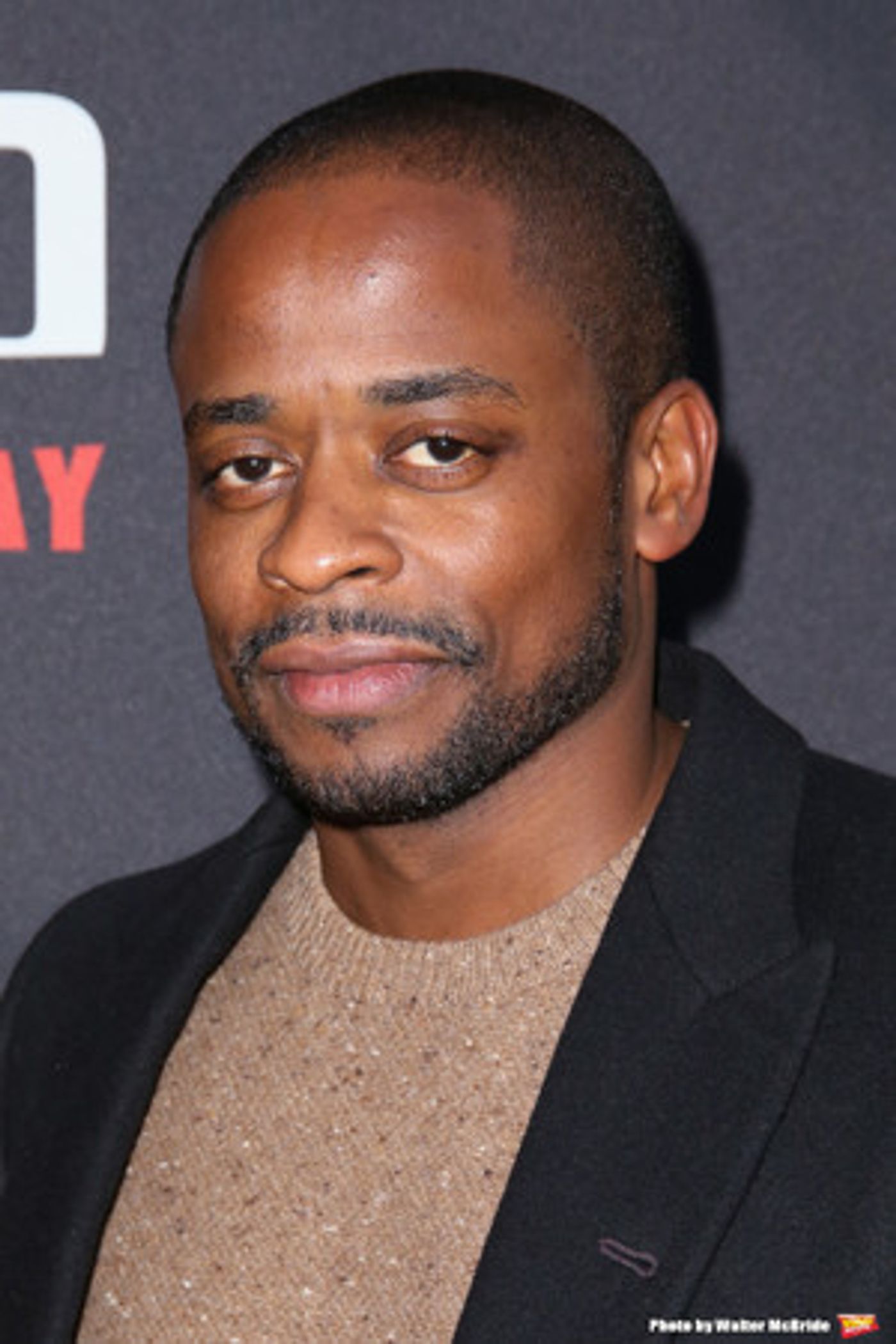 Dulé Hill Stars in LIGHTS OUT: NAT 'KING' COLE Extended Through March 17  Image
