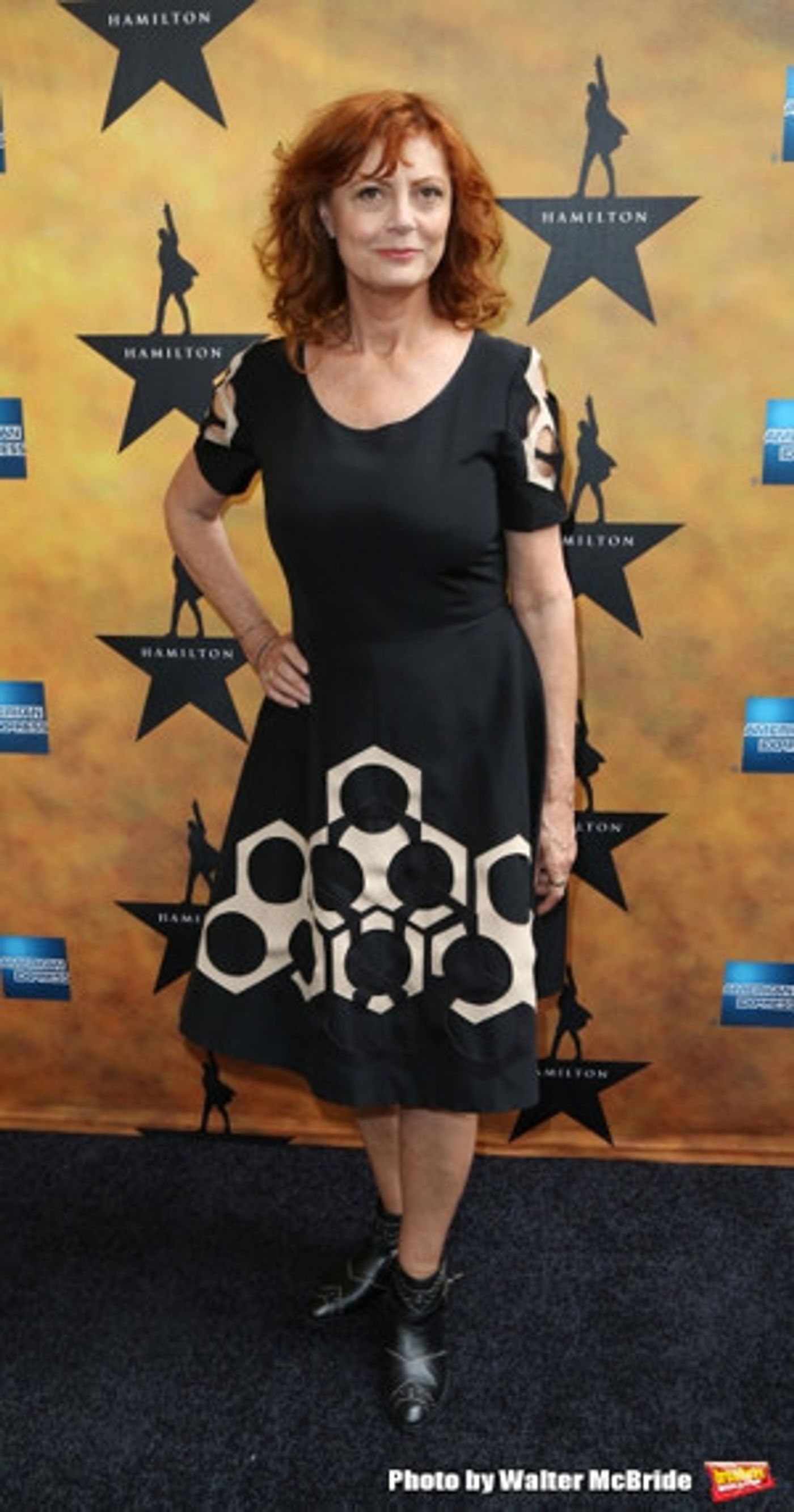 Elizabeth Moss, Susan Sarandon Join CALL JANE  Image