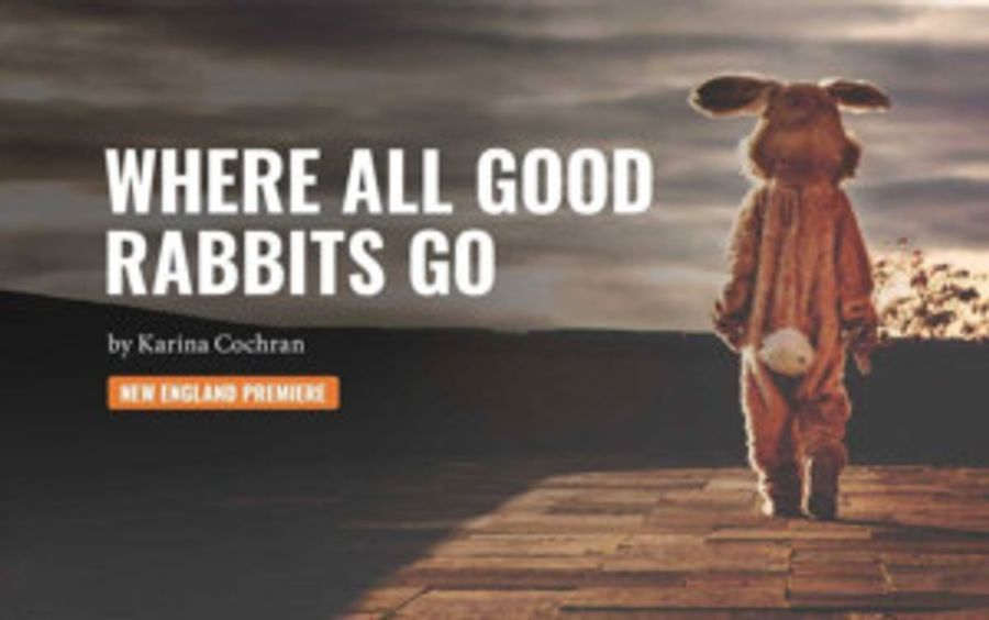 Review: WHERE ALL GOOD RABBITS GO at Thrown Stone Theatre Company Image