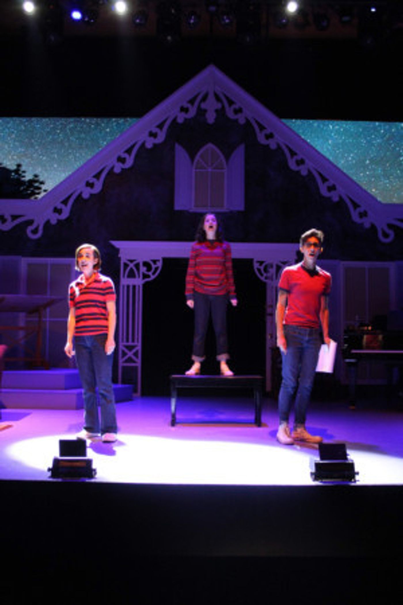 Review: FUN HOME Breaks Boundaries and Touches Hearts at Smithtown Performing Arts Center  Image