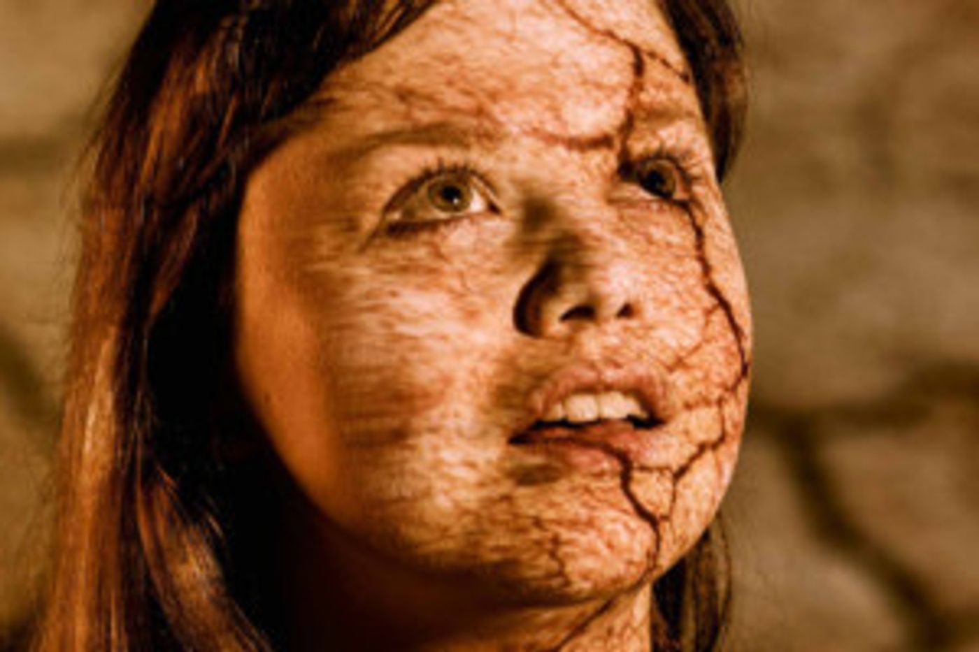 Review: TERRESTRIAL at Space Theatre, Adelaide Festival Centre  Image